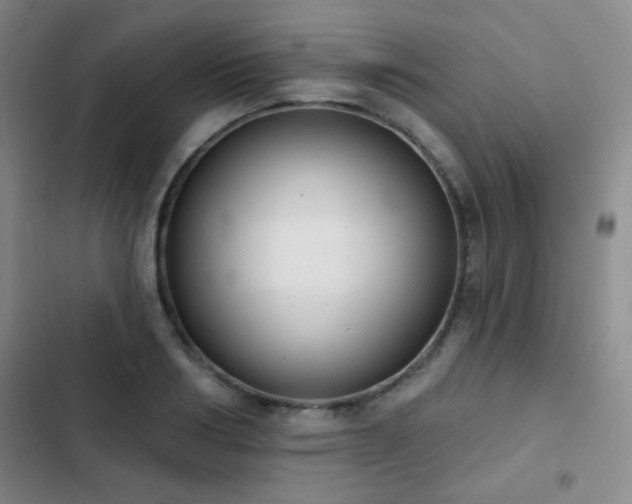 X0000102850986200808181413