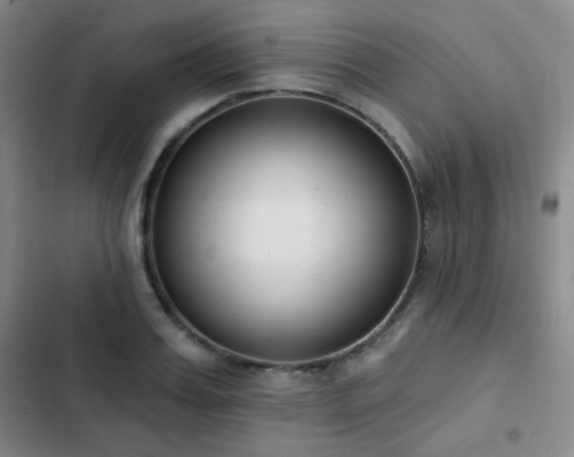 X0000102850987200808181413