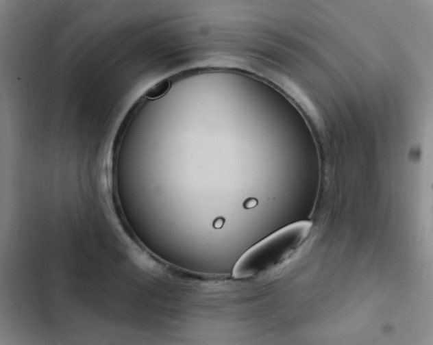 X0000102850988200808181413