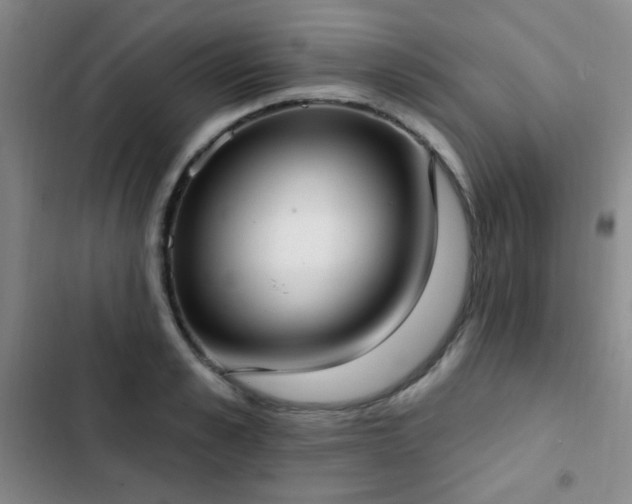 X0000102850989200808181413