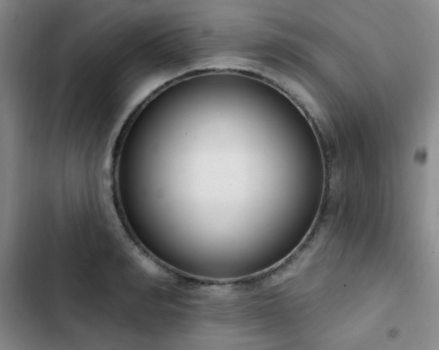 X0000102850990200808181413