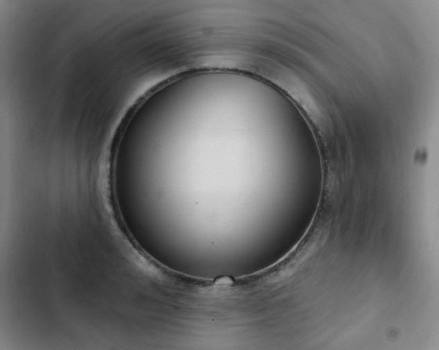 X0000102850992200808181413
