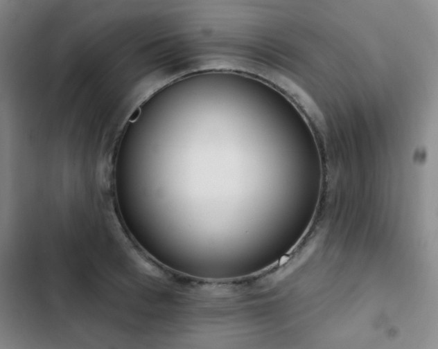 X0000102850993200808181413