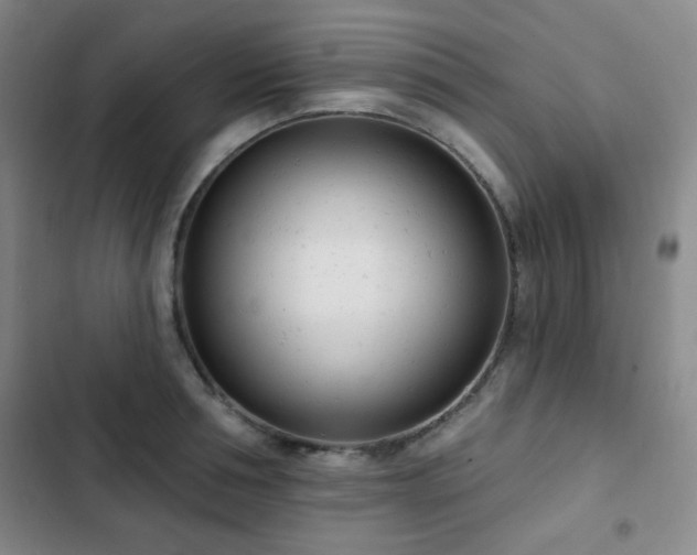 X0000102850994200808181413