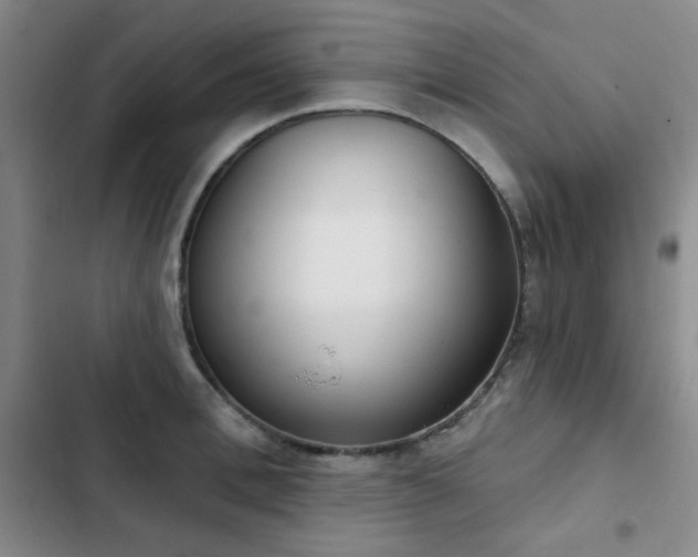 X0000102850996200808181413
