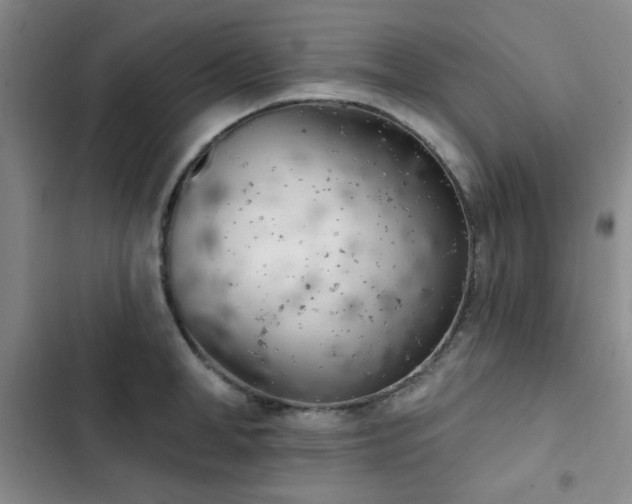 X0000102850998200808181413