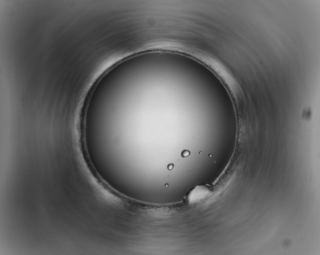 X0000102850999200808181413
