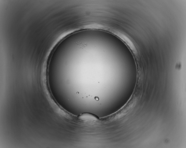 X0000102851000200808181413
