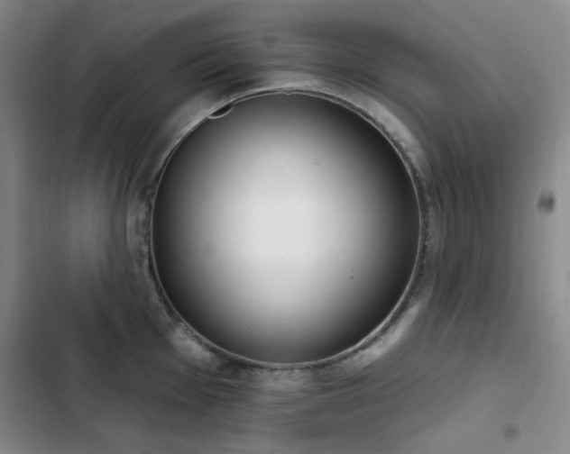 X0000102851001200808181413