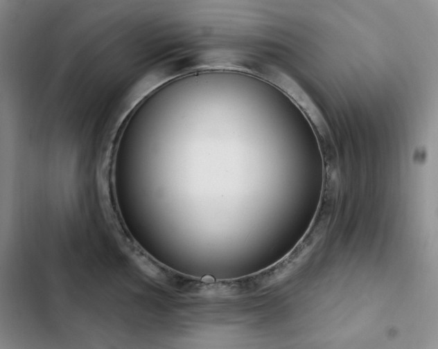 X0000102851002200808181413