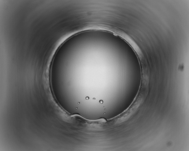 X0000102851004200808181413