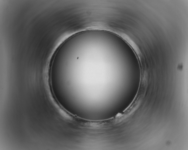 X0000102851005200808181413