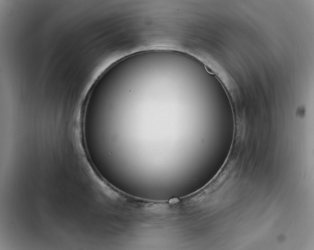 X0000102851006200808181413