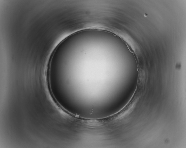 X0000102851007200808181413