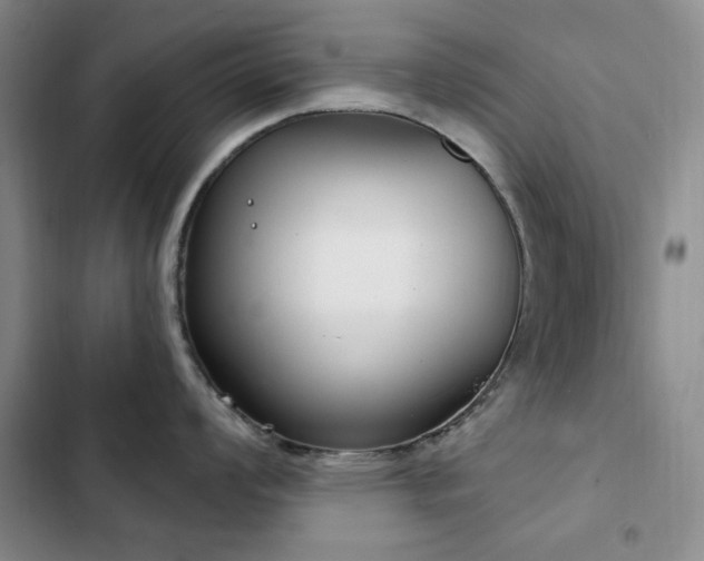 X0000102851008200808181413