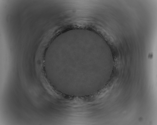 X0000102851009200808181412