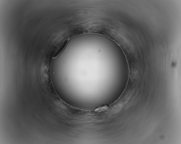 X0000102851010200808181412