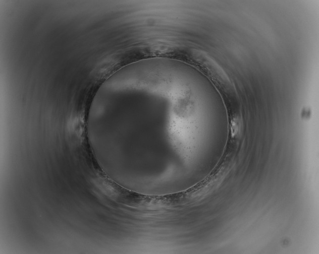 X0000102851011200808181412