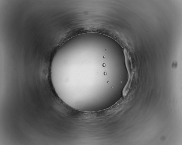 X0000102851012200808181412