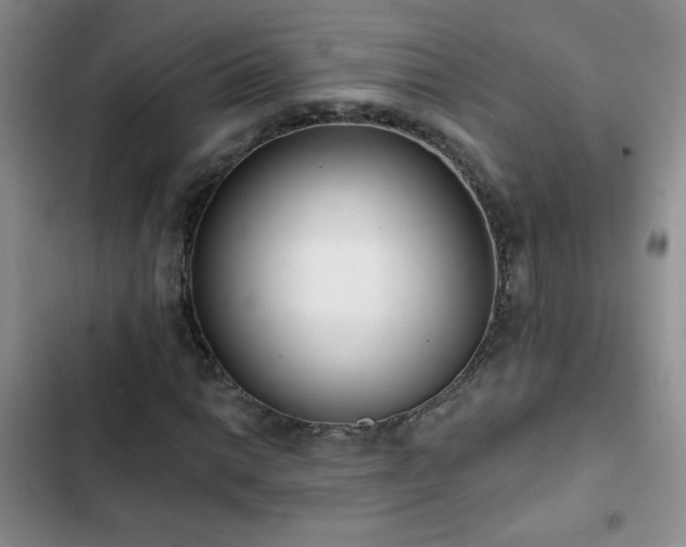 X0000102851014200808181412