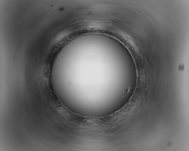 X0000102851015200808181412