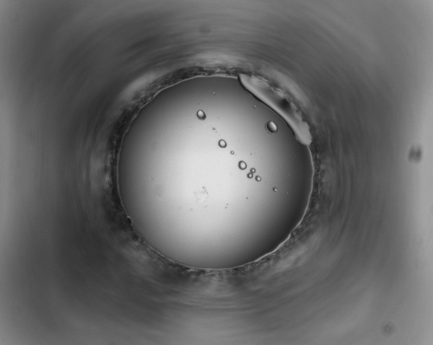 X0000102851016200808181412
