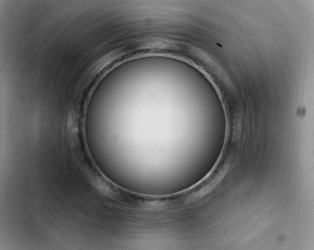 X0000102851017200808181412