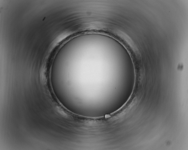 X0000102851018200808181412
