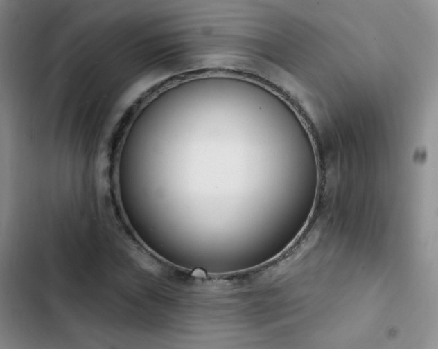 X0000102851019200808181412