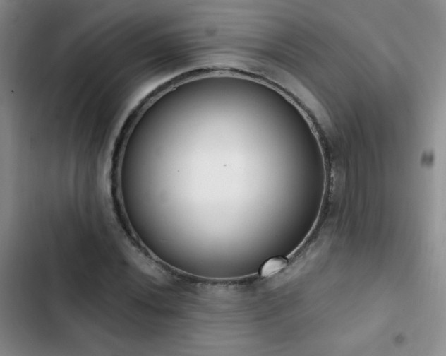 X0000102851020200808181412