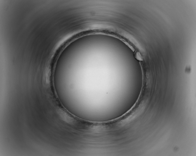 X0000102851021200808181412