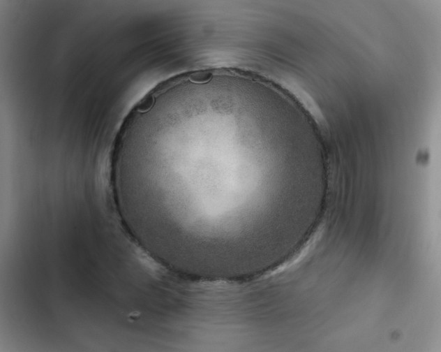 X0000102851023200808181412
