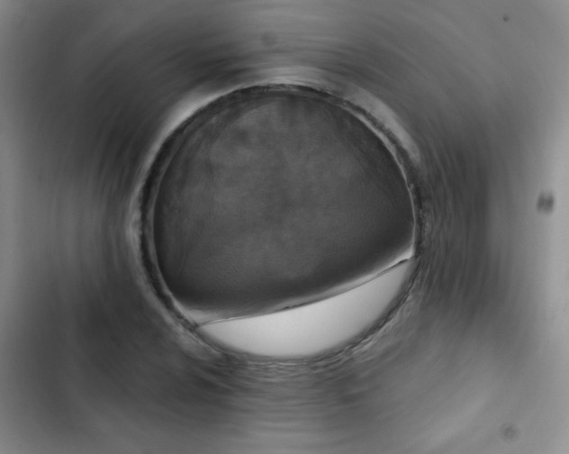 X0000102851024200808181412