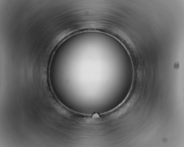 X0000102851025200808181412