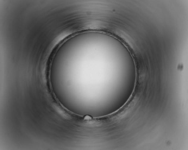 X0000102851026200808181412