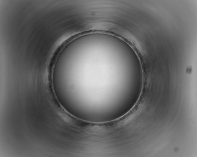 X0000102851027200808181412