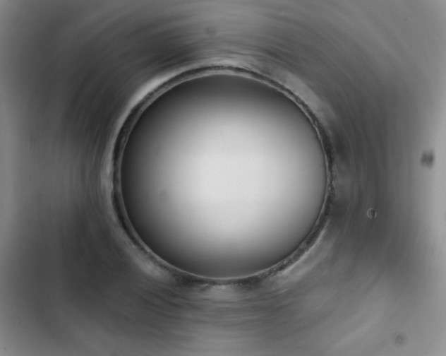 X0000102851028200808181412