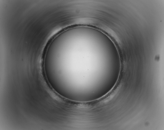 X0000102851029200808181412