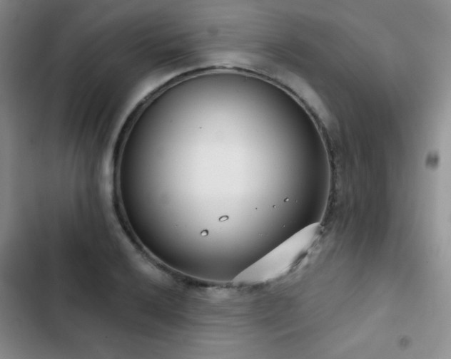 X0000102851032200808181412