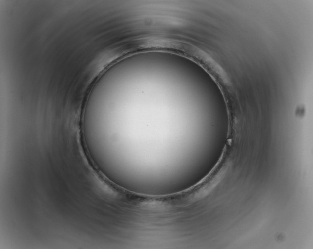 X0000102851033200808181413
