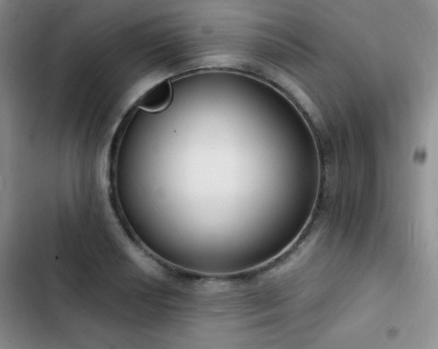 X0000102851034200808181413