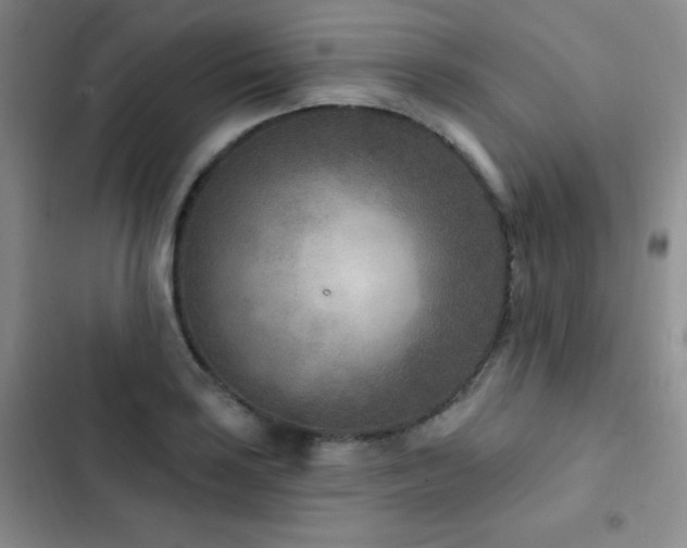X0000102851035200808181413