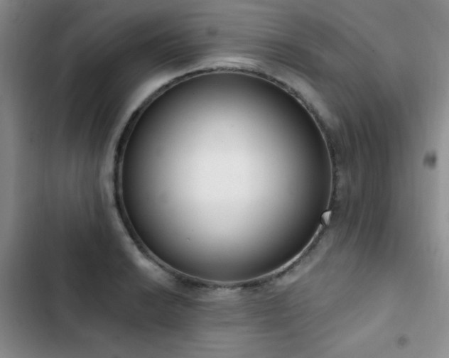 X0000102851038200808181413