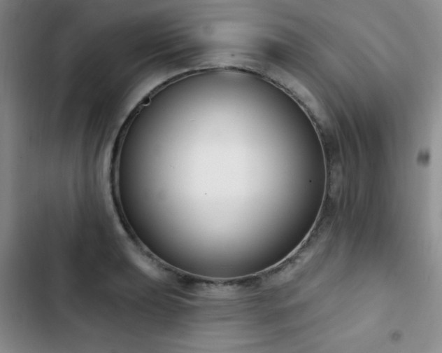 X0000102851039200808181413
