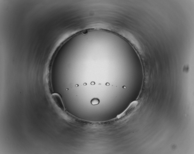 X0000102851040200808181413