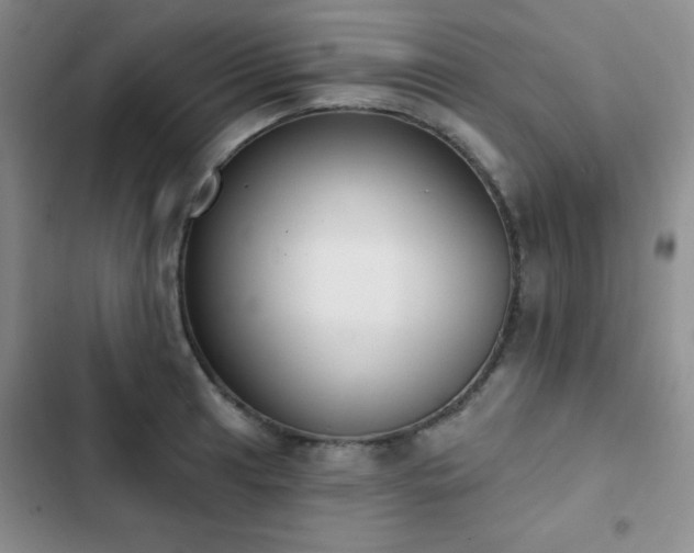 X0000102851041200808181413