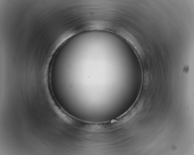 X0000102851042200808181413