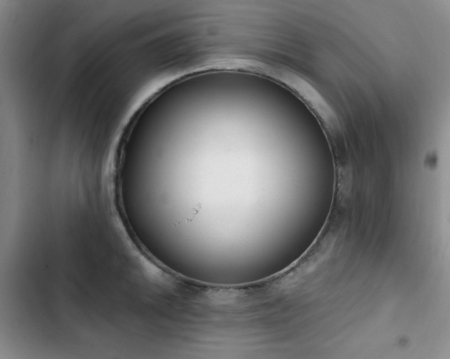 X0000102851046200808181413