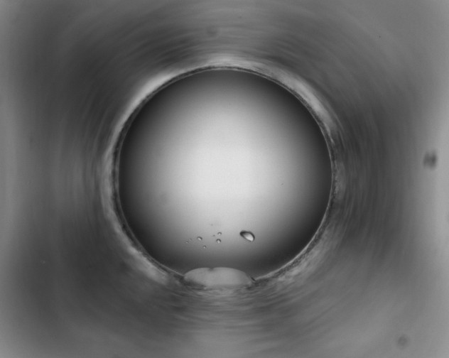 X0000102851048200808181413