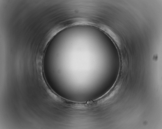 X0000102851049200808181413